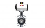 Double Shafts Butterfly Valve